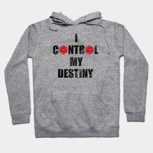 I control my Destiny - D20 perfect Hoodie